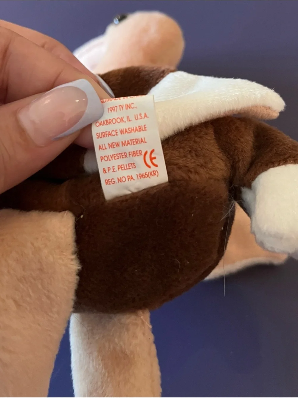 Stretch the Ostrich Beanie Baby
